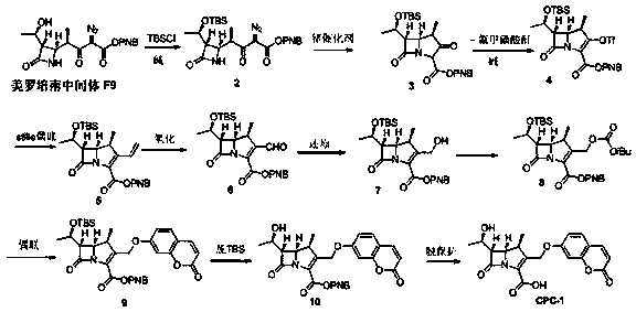 Fluorescent probe, synthesis method and application of carbapenem-resistant bacteria