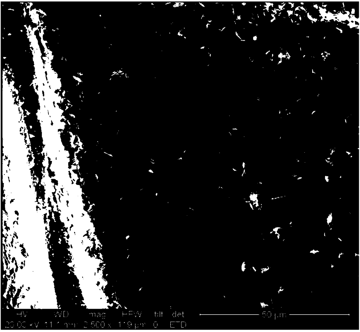 Method for immobilizing anaerobic iron ammonia oxidizing bacteria through magnetic chitosan gel beads