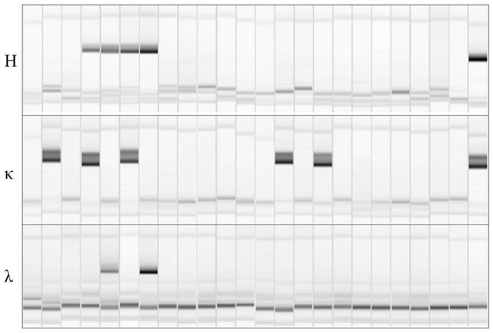 Fully-humanized anti-neocoronavirus broad-spectrum high-neutralization-activity monoclonal antibody and application