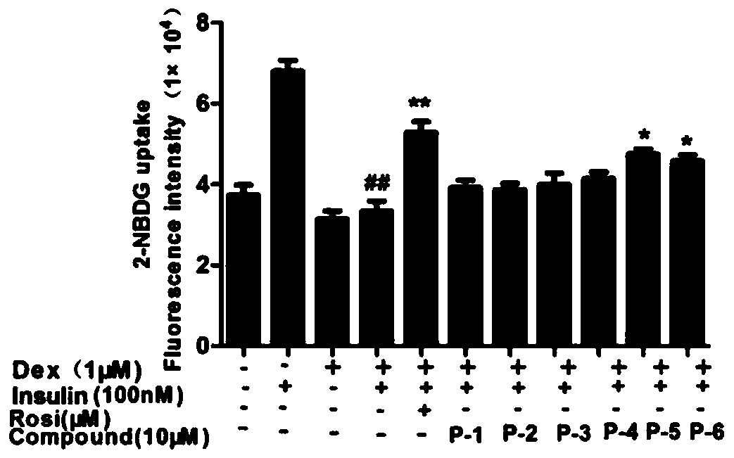 Use of proanthocyanidin compounds in product for prevention and/or treatment of insulin resistance
