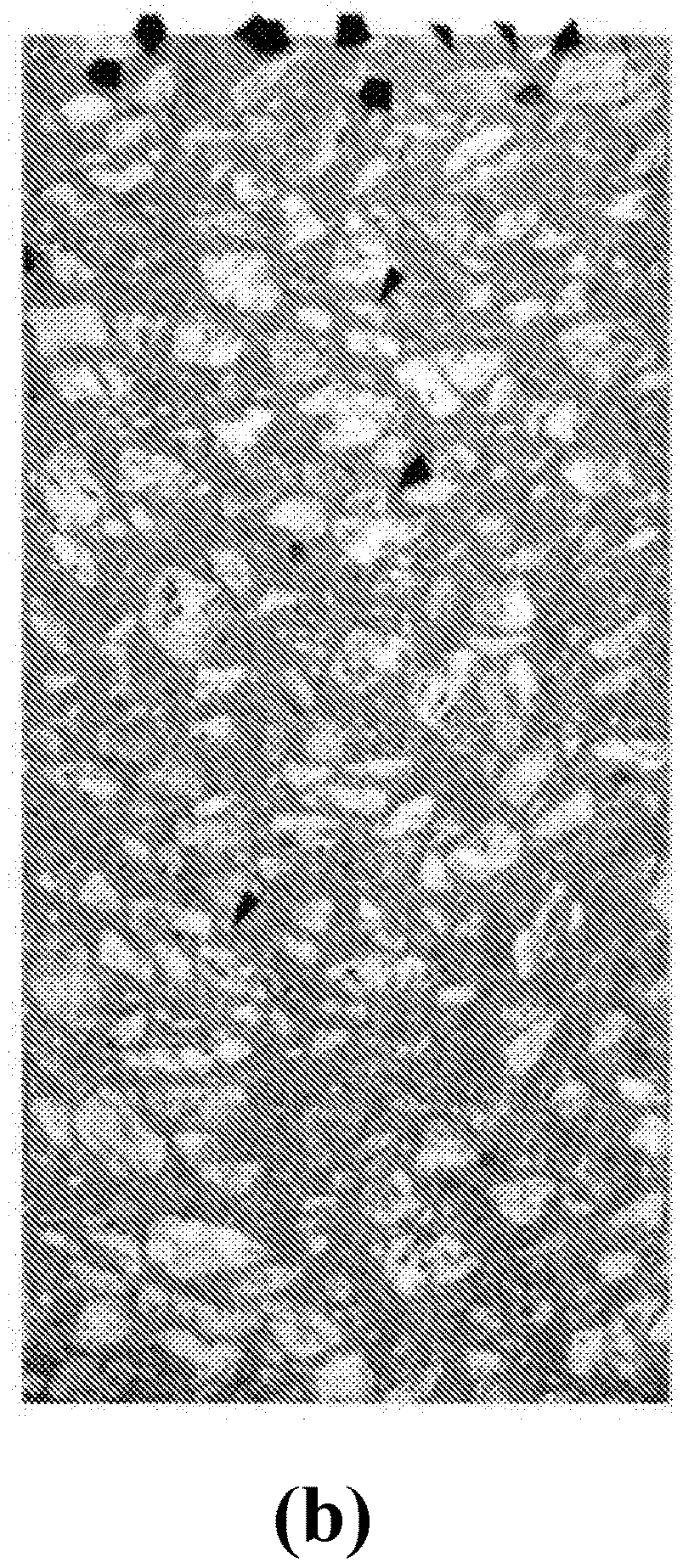 Self-Consolidating Concrete Construction with Self-Roughening Properties