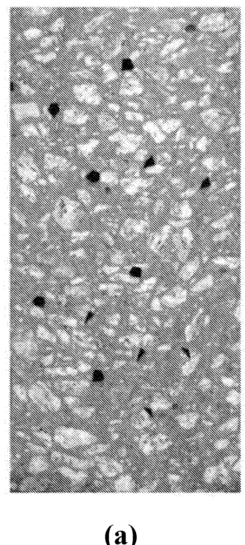 Self-Consolidating Concrete Construction with Self-Roughening Properties