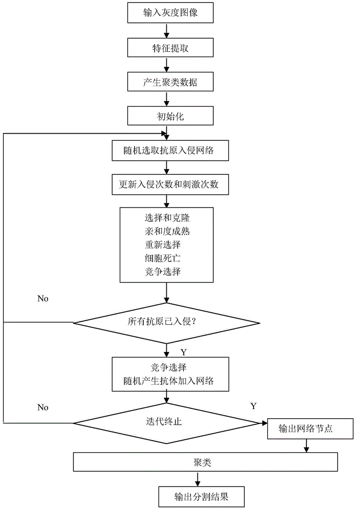 Artificial immune network clustering based grayscale image segmentation method