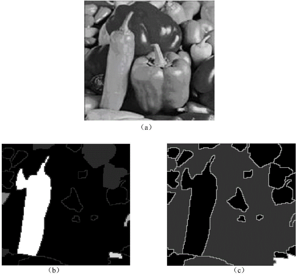 Artificial immune network clustering based grayscale image segmentation method