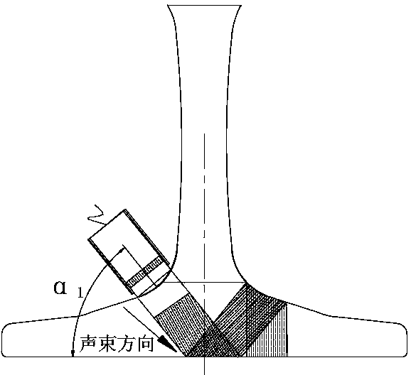 A full-section flaw detection method and device for rail bottoms in service