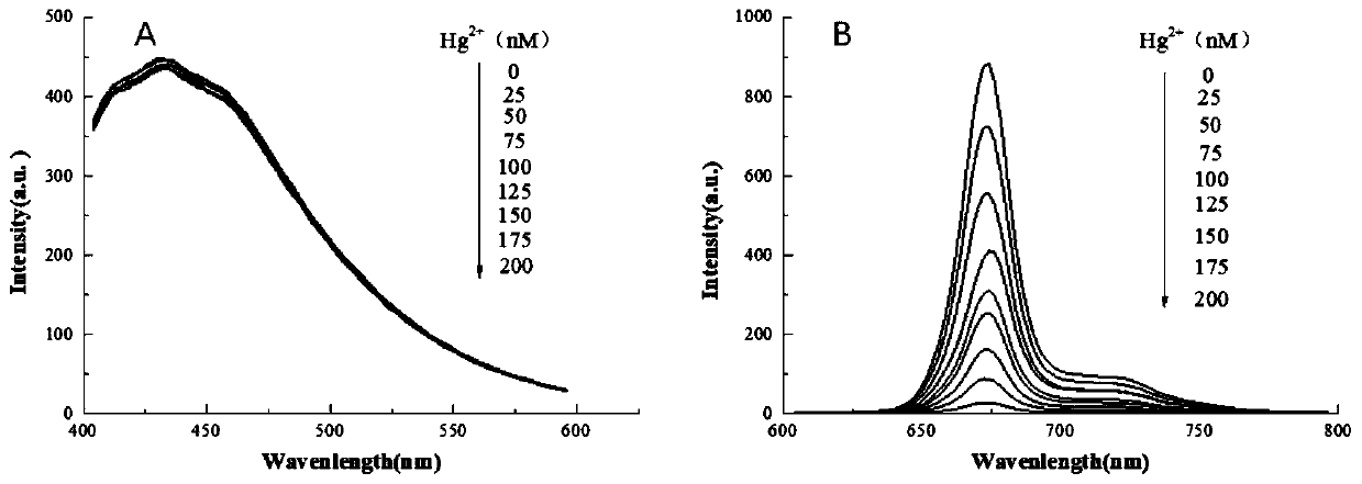 Fluorescence method for rapidly detecting Hg&lt;2+&gt; in tea oil