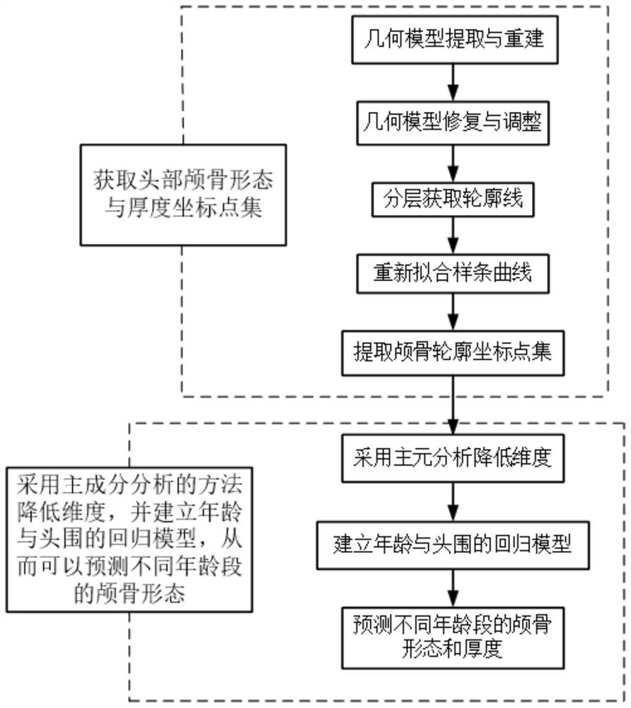 Modeling method for skull morphological model of head of 3-10-year-old child