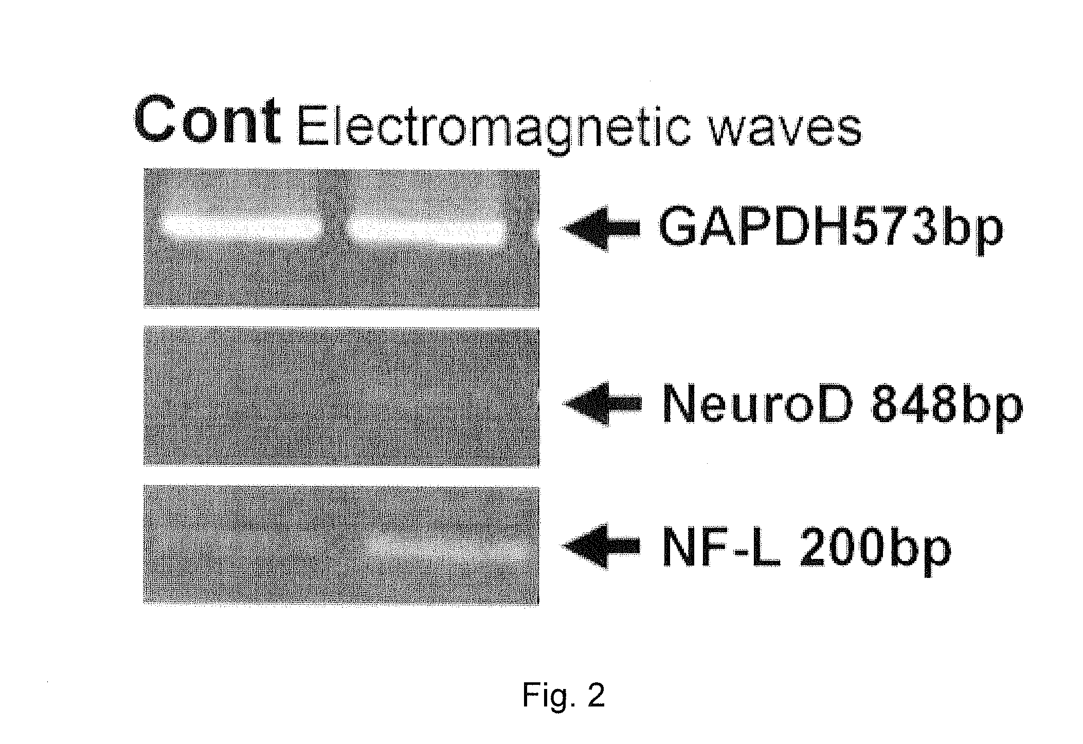 Method for inducing differentiation of adult stem cells and nerve cells using electromagnetic field
