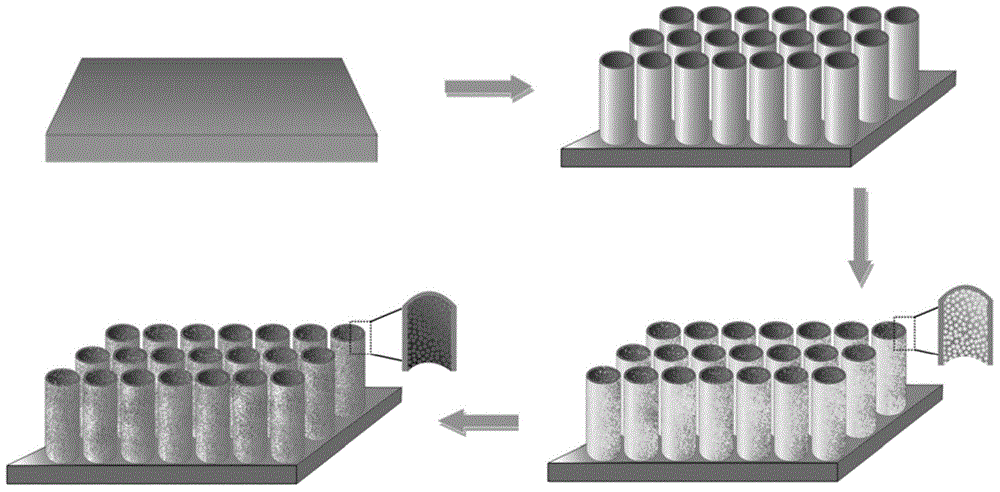 Preparation method for bismuth oxide nano-particle/titania nano-tube array