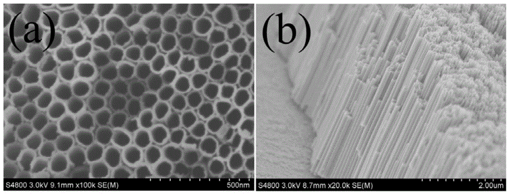 Preparation method for bismuth oxide nano-particle/titania nano-tube array