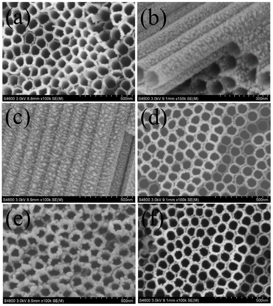 Preparation method for bismuth oxide nano-particle/titania nano-tube array