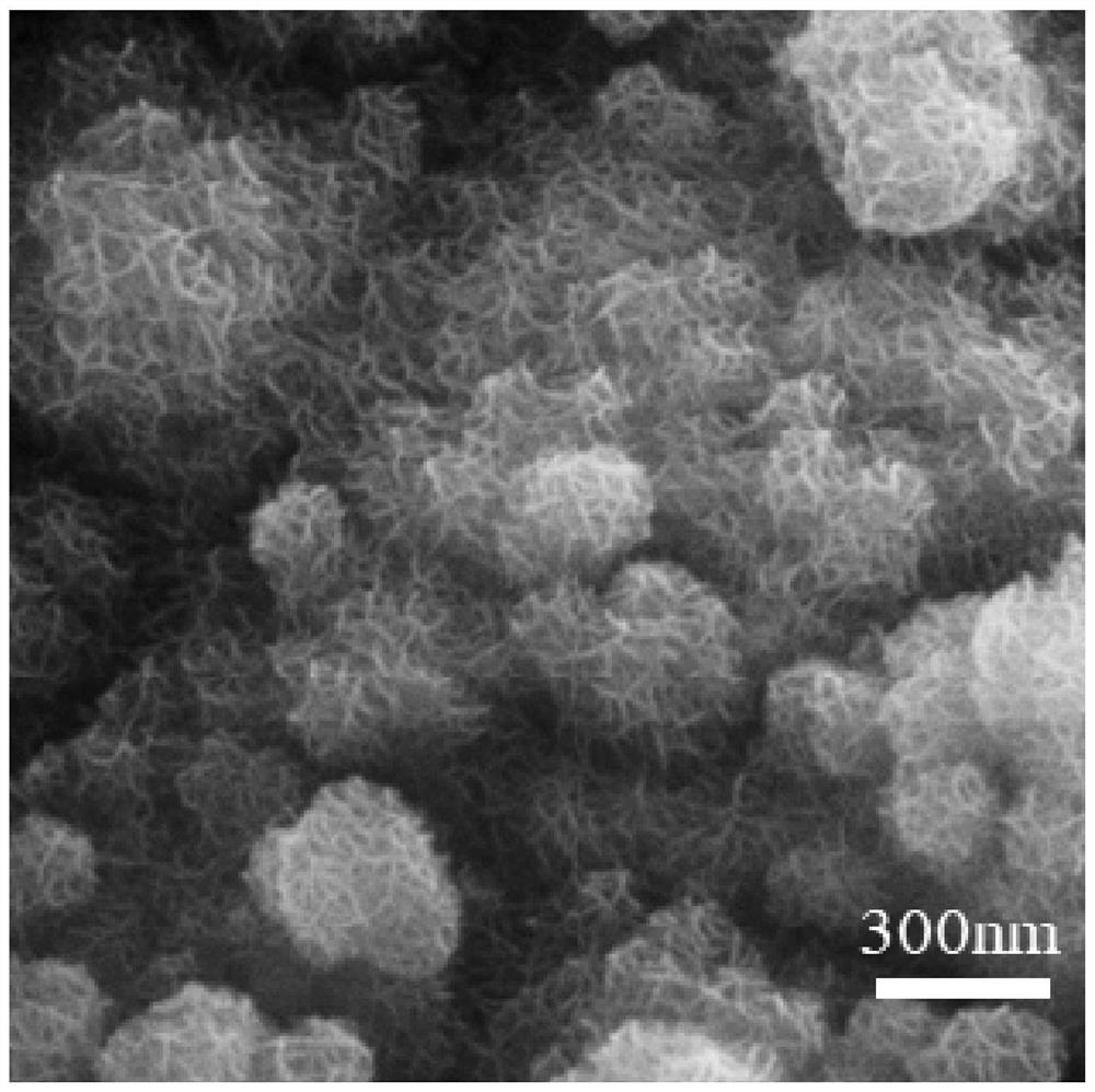 Rapid and low-energy-consumption preparation method of self-supporting nanostructure electrocatalyst