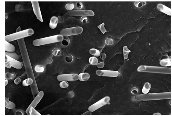 Glass fiber-reinforced polypropylene resin composition formula and preparation method