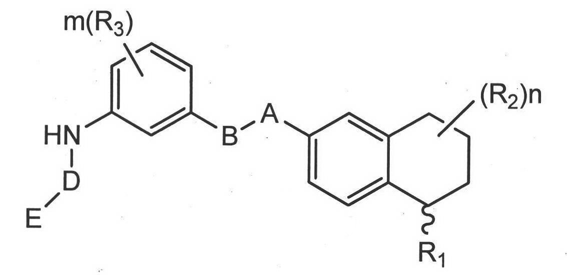 S-type and R-type tetrahydro-naphthalene amides antitumor compound and pharmaceutically acceptable salt or pro-drug thereof, preparation method and application