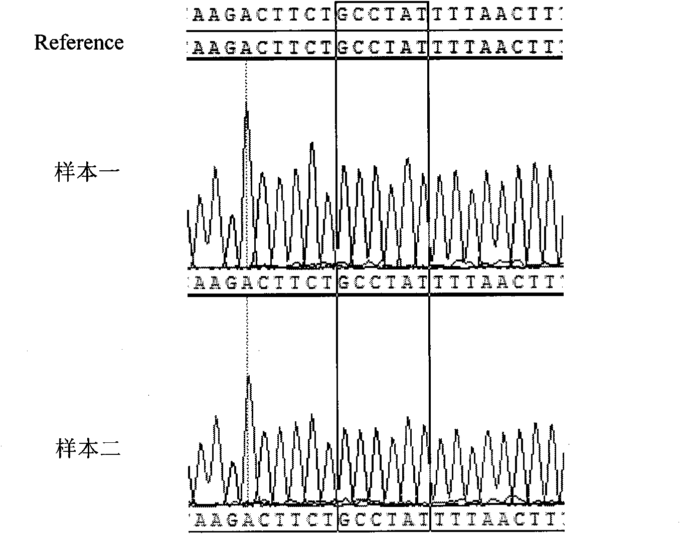 Primer used for detecting c-kit gene mutation and application thereof