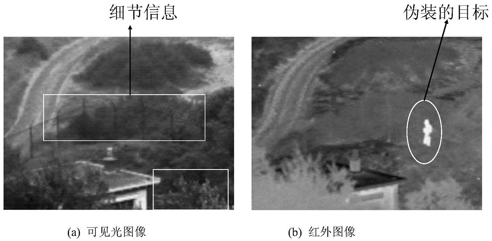 A Real-time Fusion Method of Infrared Image and Visible Light Image