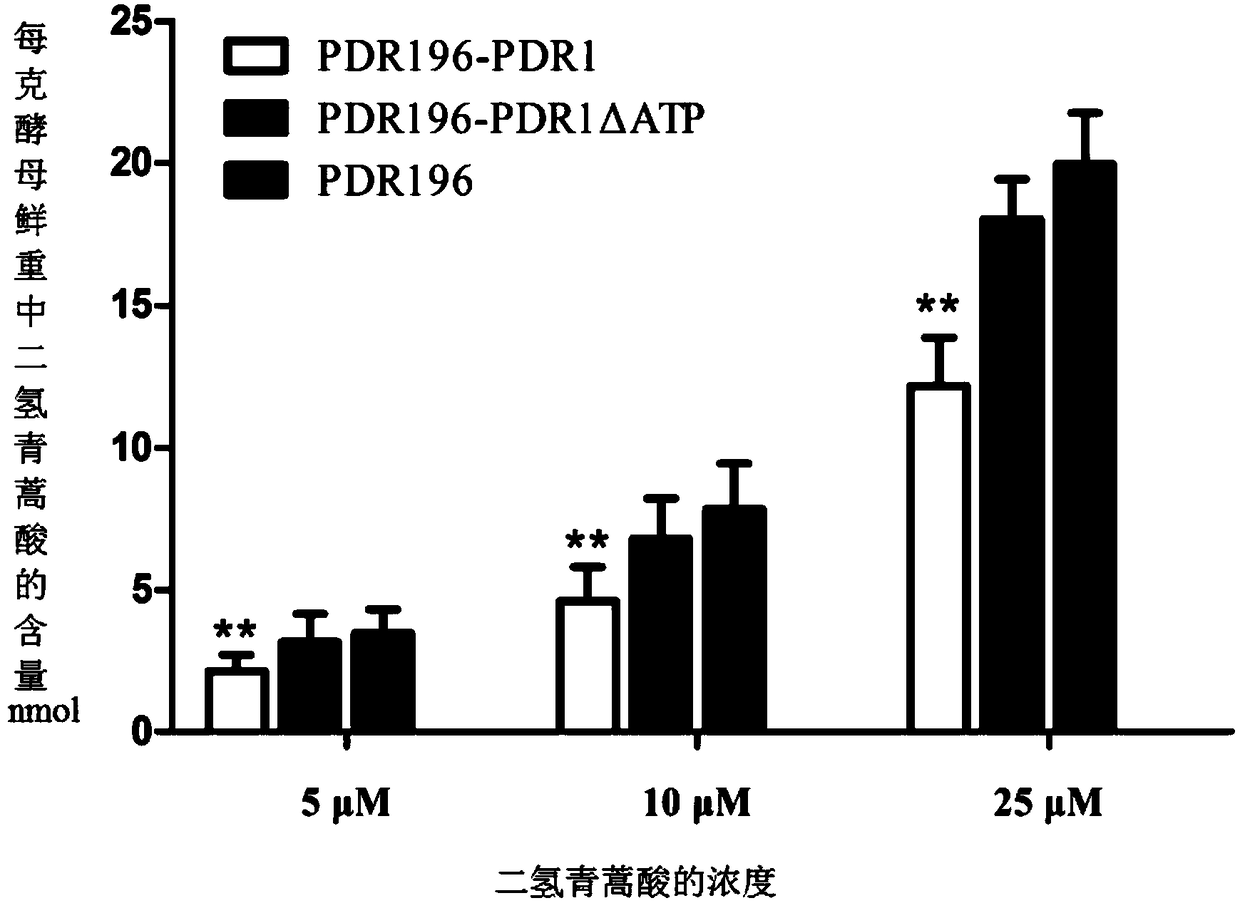 A kind of Artemisia annua PDR subfamily transport protein and its function verification method and application