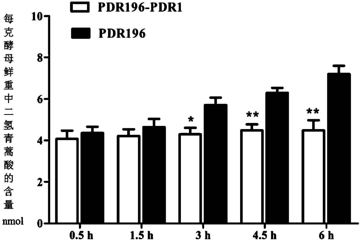 A kind of Artemisia annua PDR subfamily transport protein and its function verification method and application