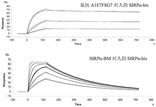 A kind of anti-human sirpα monoclonal antibody and its application