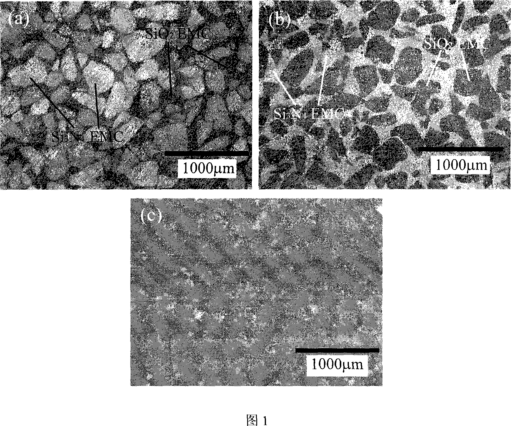 High-conductivity epoxy moulding material having heat conducting path and manufacturing method thereof