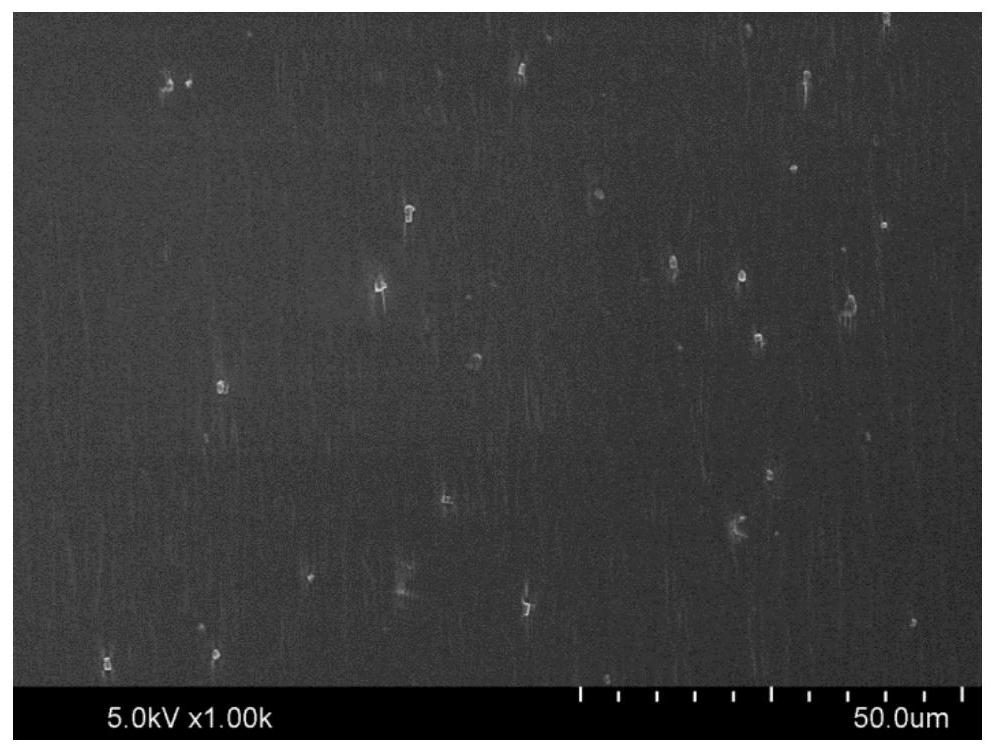 Antibacterial composition, preparation method and application thereof, antibacterial chopping board and manufacturing method of antibacterial chopping board