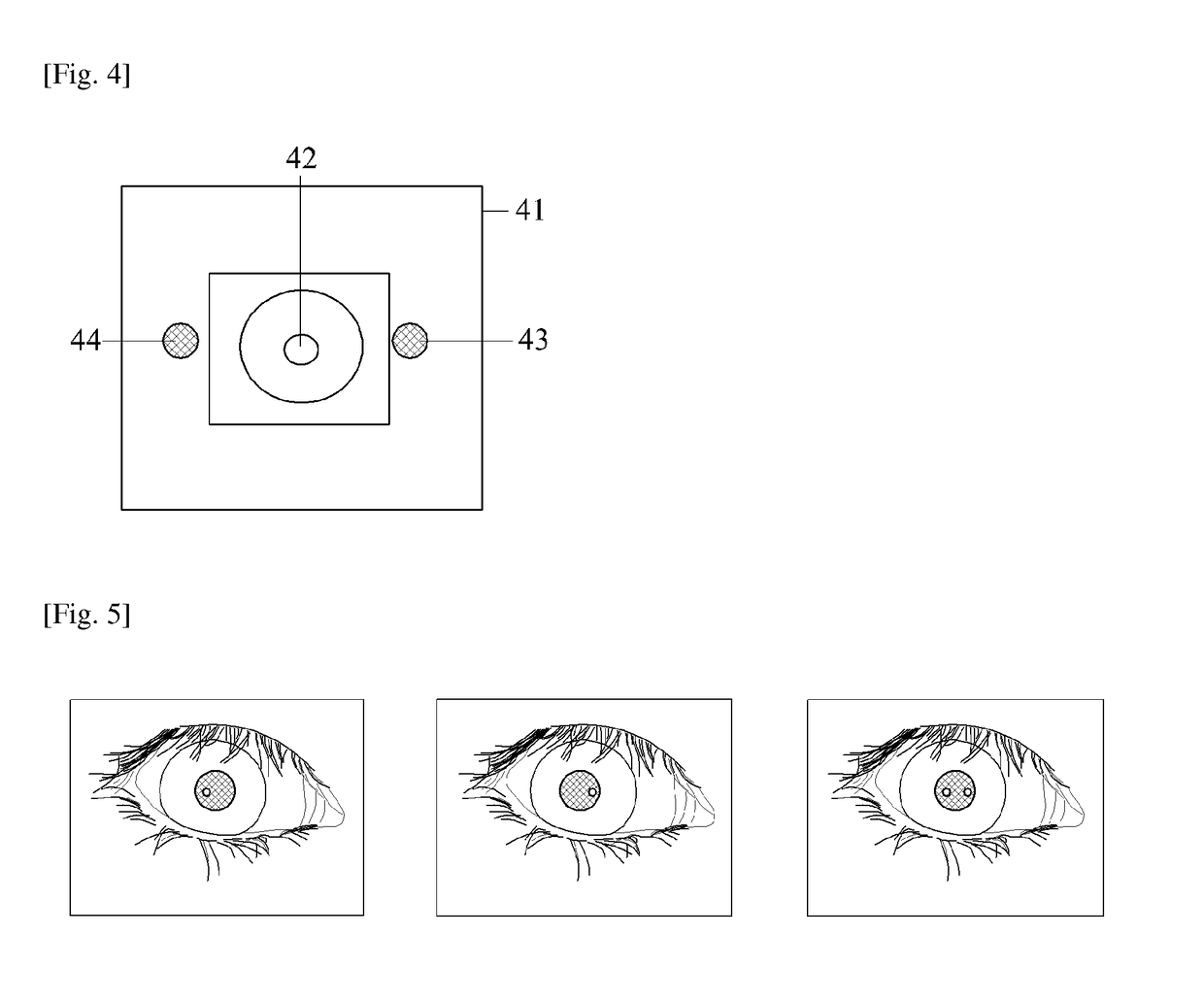 Method and apparatus for identifying living eye
