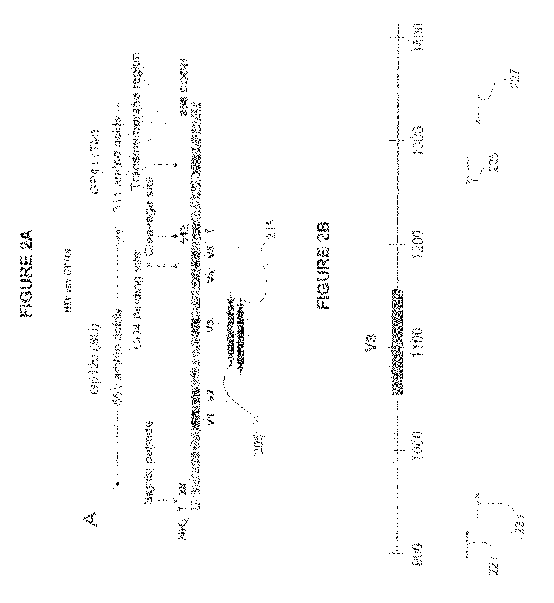 System and method for detection of HIV tropism variants