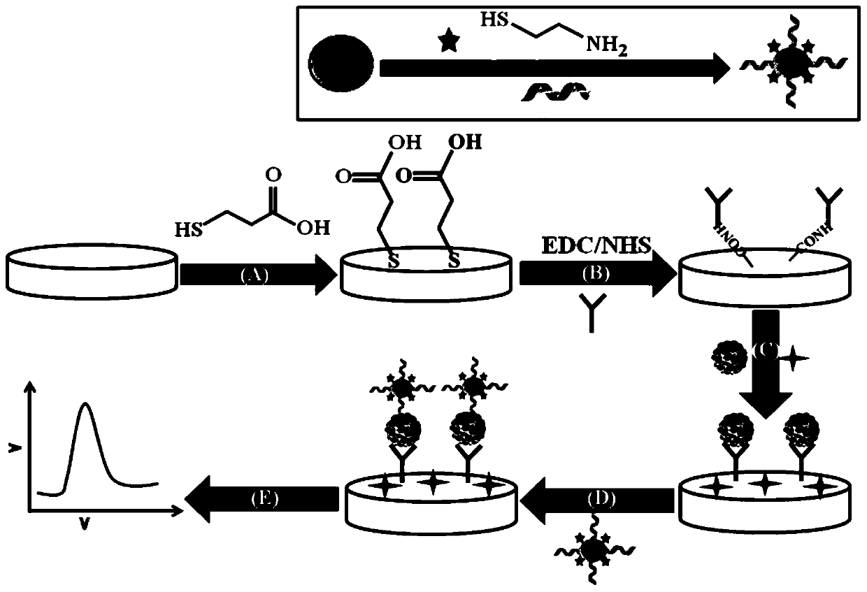 Method for constructing tau protein content detection system in alzheimer disease blood