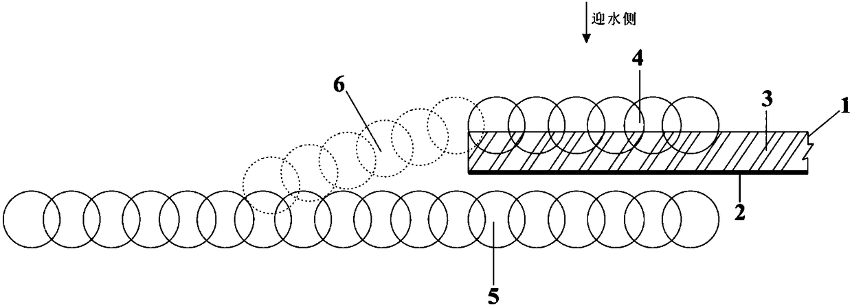 Construction method of two-wall sandwiched plastic film for sandy soil dike foundation seepage cutoff