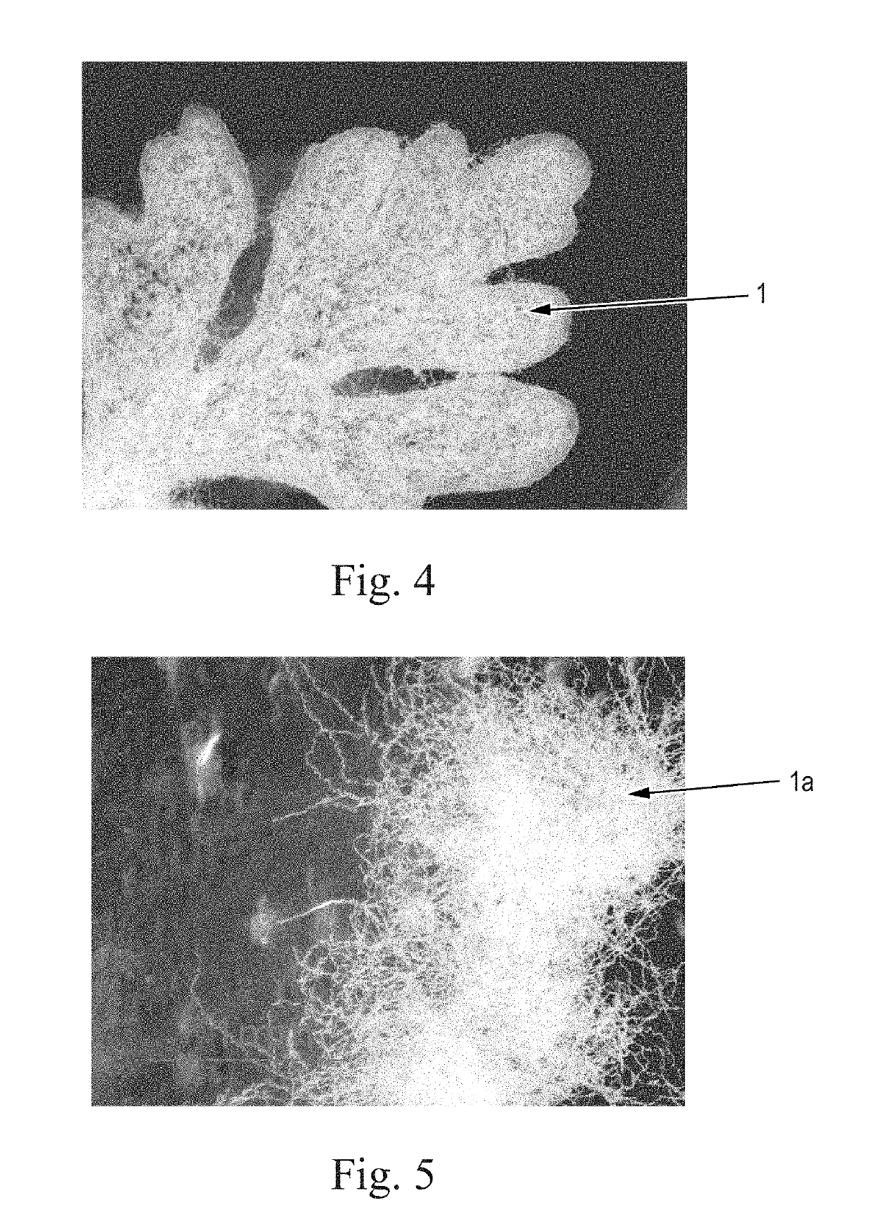 Process for individualizing trichomes