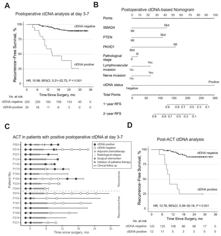 Circulating tumor DNA detection system for screening minimal residual focus after colorectal cancer operation and predicting recurrence risk and application