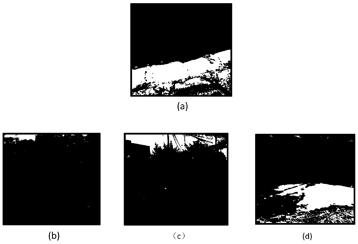 Urban black and odorous water body grading method based on decision tree