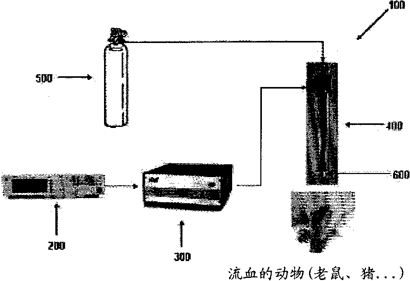 Coagulation apparatus using cold plasma