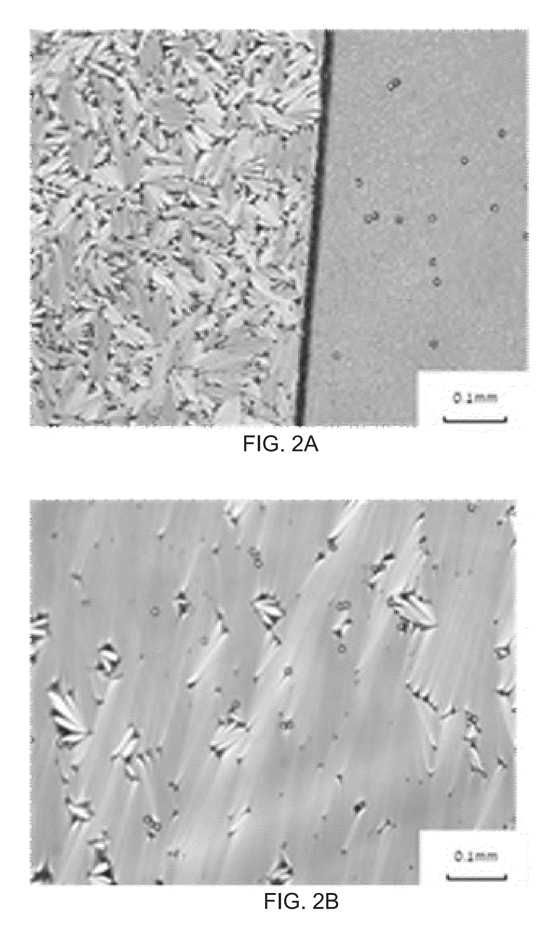 High scattering smectic liquid crystal material and display device using the same