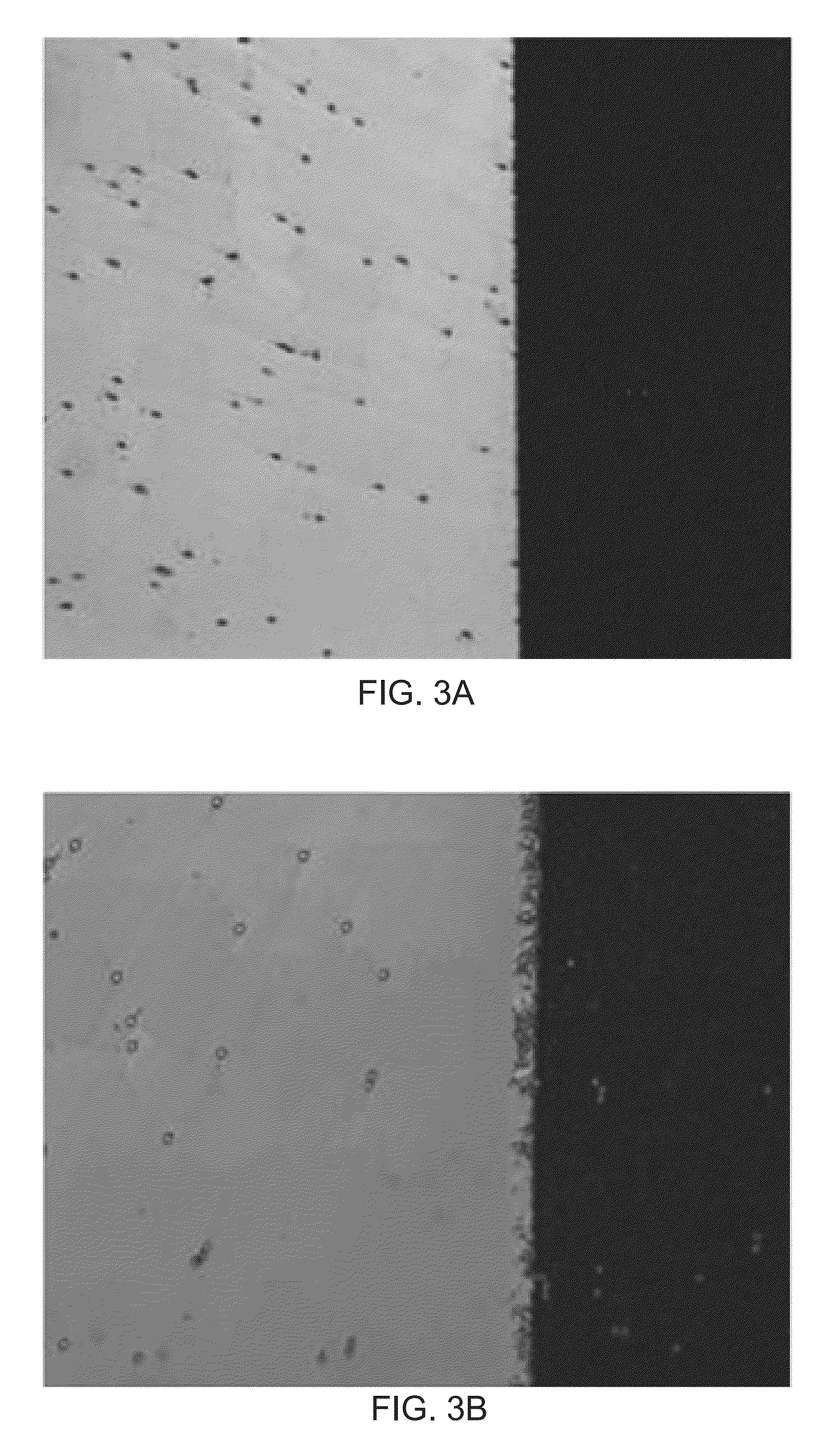 High scattering smectic liquid crystal material and display device using the same