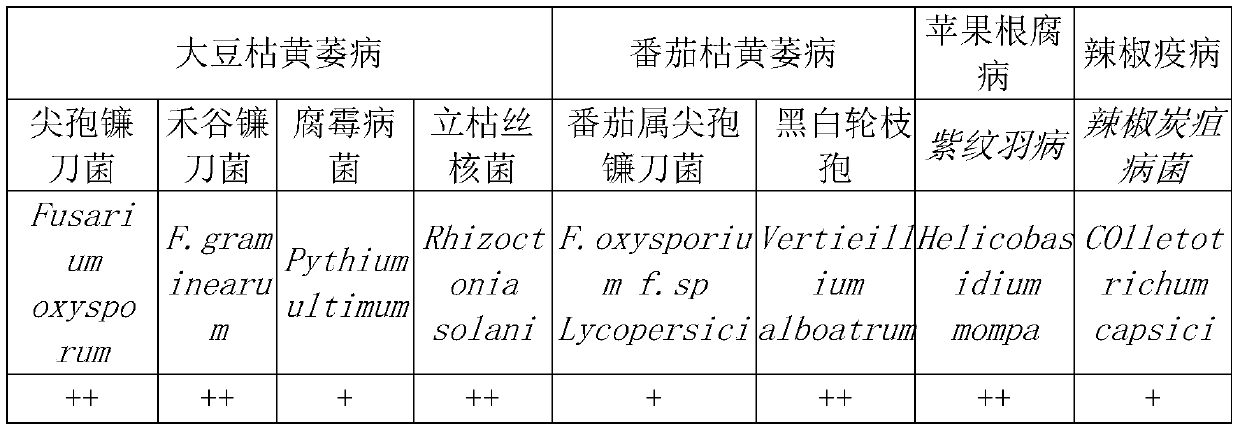 Preparation and application of composite microbial agent and biological organic compound fertilizer