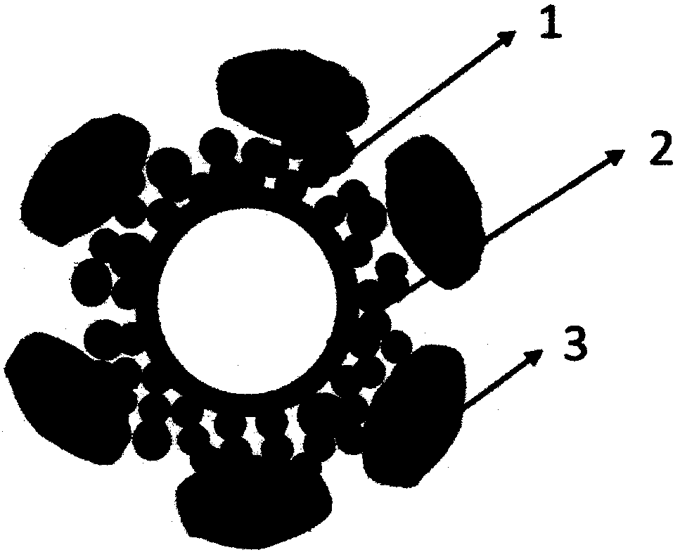 A hollow structure silicon-carbon composite material prepared by a magnesium thermal reduction method and a preparation method thereof