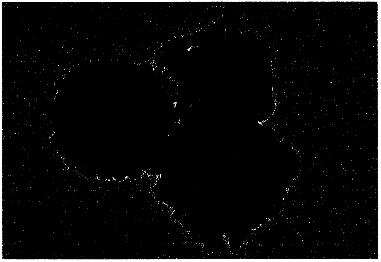 A hollow structure silicon-carbon composite material prepared by a magnesium thermal reduction method and a preparation method thereof