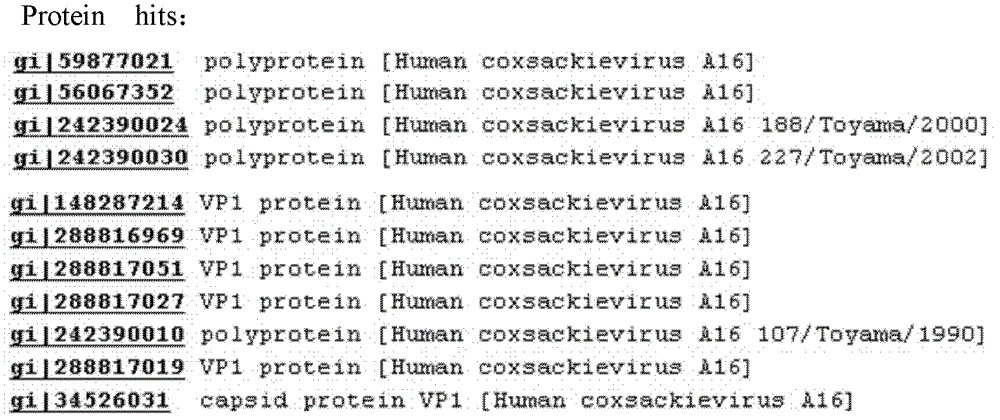 A16 type strain of Coxsackie virus and application of the strain