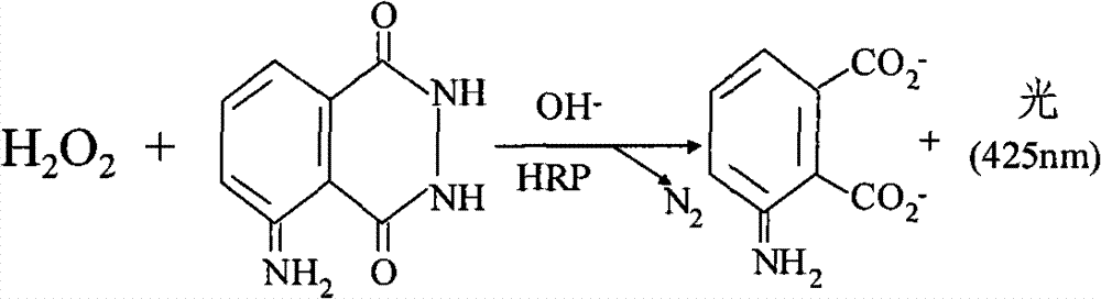 Chemiluminescent substrate liquid applied to detection system taking horseradish peroxidase (HRP) as enzymatic reaction