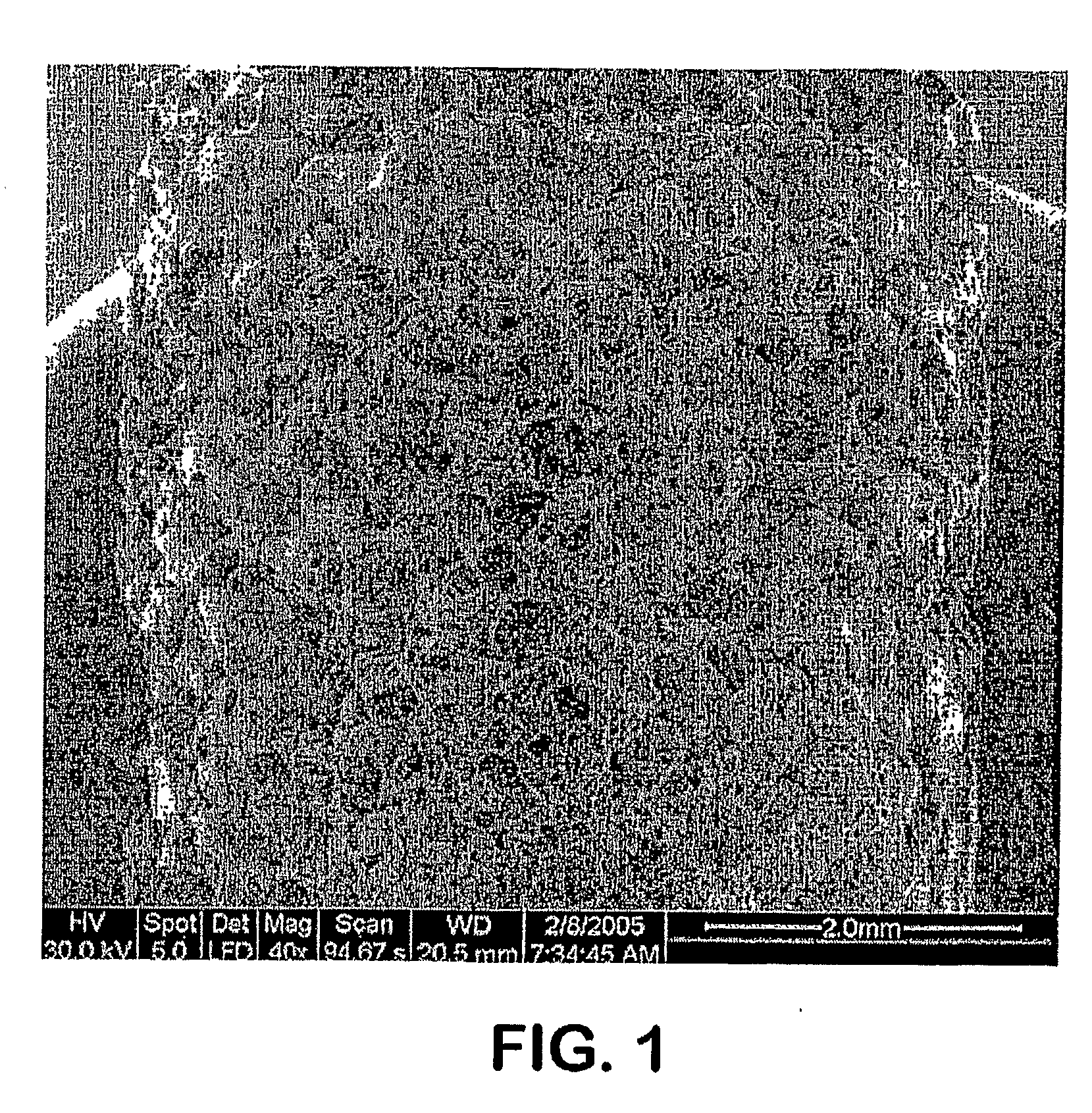 Bioresorbable composition for repairing skeletal tissue