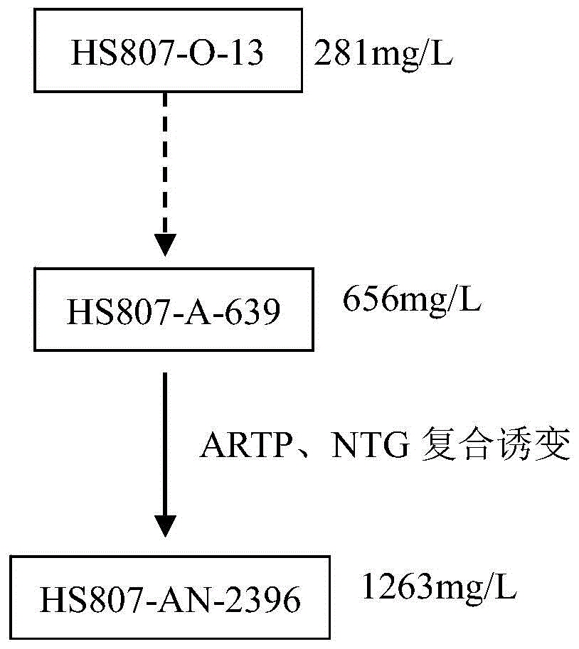 Kibdelosporangium aridum and preparation method of oritavancin intermediate