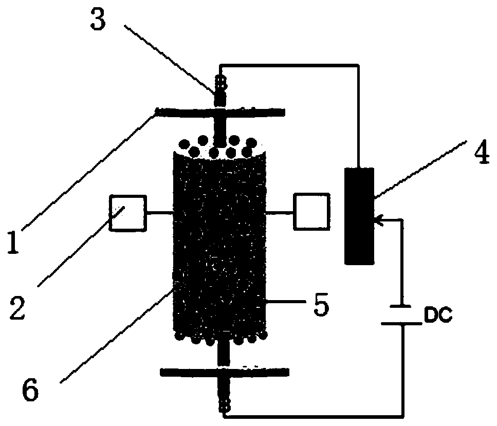 Device and method for removing heavy metal complexes from biogas slurry