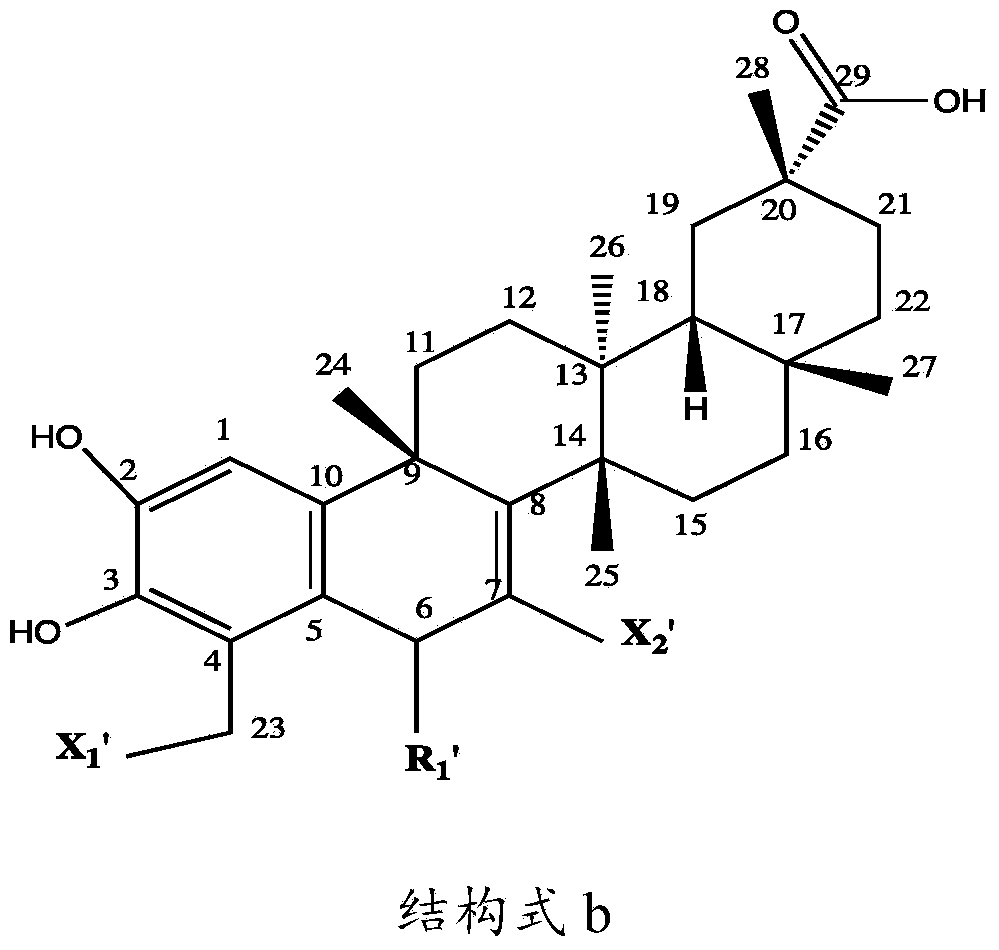 Preparation method for celastrol derivatives, products and application thereof