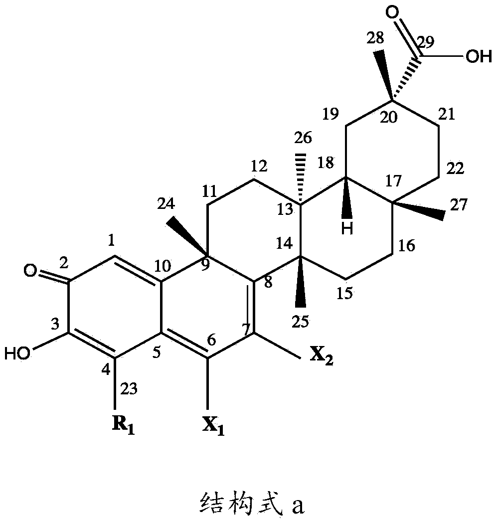 Preparation method for celastrol derivatives, products and application thereof