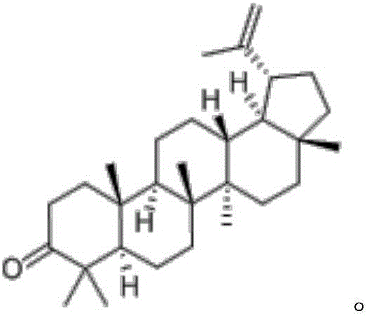 Application of lupenone to preparation of drug for prevention and/or treatment of senile dementia and preparation