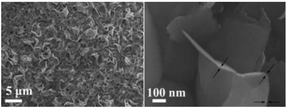 Anode material suitable for aqueous metal ion battery and preparation method for same