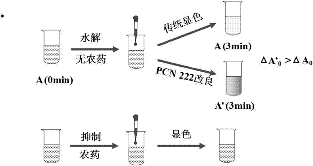 PCN (Porous Coordination Network) 222 metal organic framework material as well as preparation method and application thereof