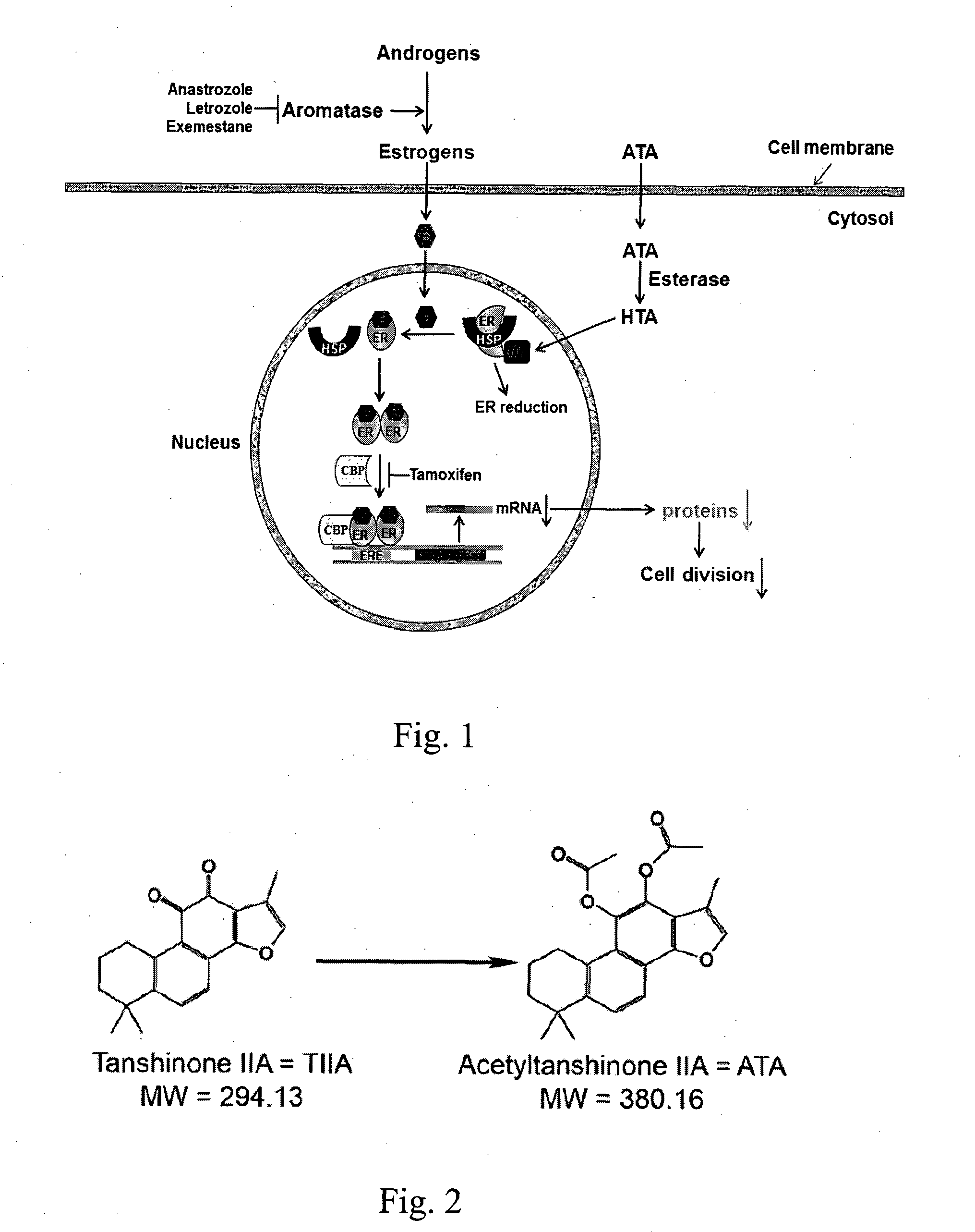 Acetyltanshinone iia (ATA) as anticancer agent