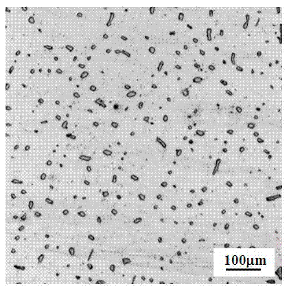 Casting blank heat treatment method of stainless steel welding strip for nuclear power